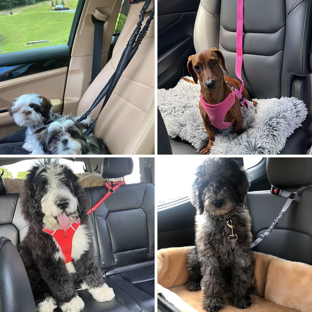 Dual Pack Adjustable Nylon Fabric Dog and Cat Safety Seat Belt Straps for Car Headrests - Elastic Bungee Restraints in Black