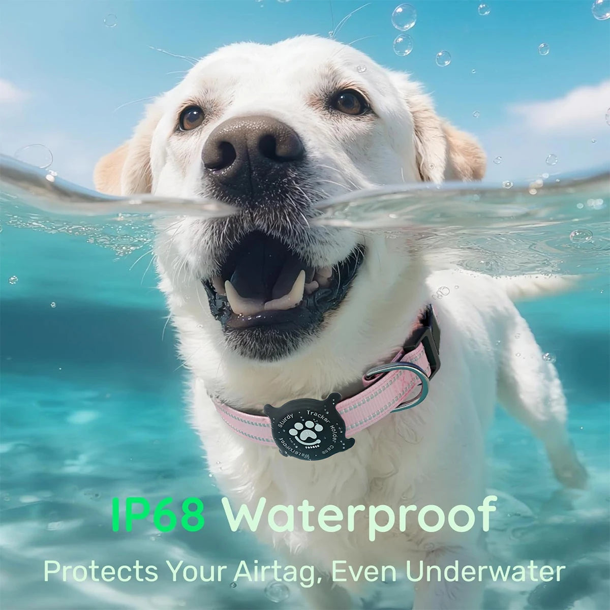 Reflective Dog Collar with Luminous Airtag Holder, Waterproof Soft Padded & Safety Buckle, Air Tag Tracker Case Collars
