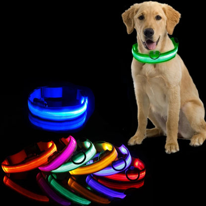 LED Dog Collar Light - Anti-Lost Night Safety Accessory for Dogs and Puppies, USB Rechargeable
