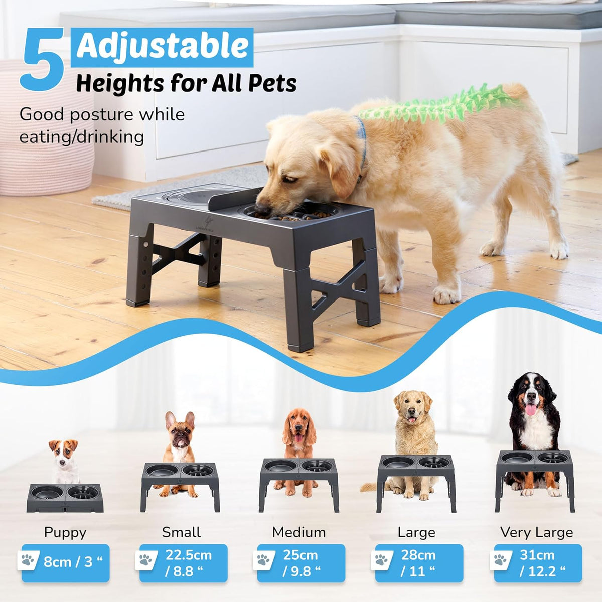 Elevated Dog Feeding Station with Non-Spill Slow Feeder Bowls and Divider