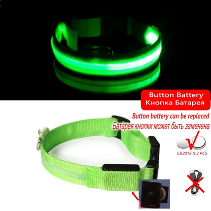LED Dog Collar Light - Anti-Lost Night Safety Accessory for Dogs and Puppies, USB Rechargeable