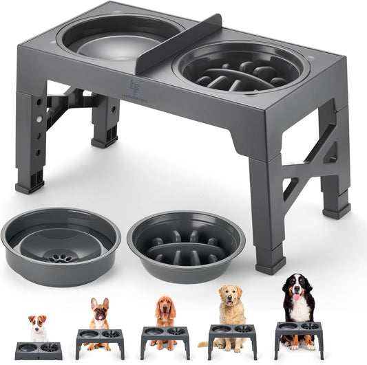 Elevated Dog Feeding Station with Non-Spill Slow Feeder Bowls and Divider