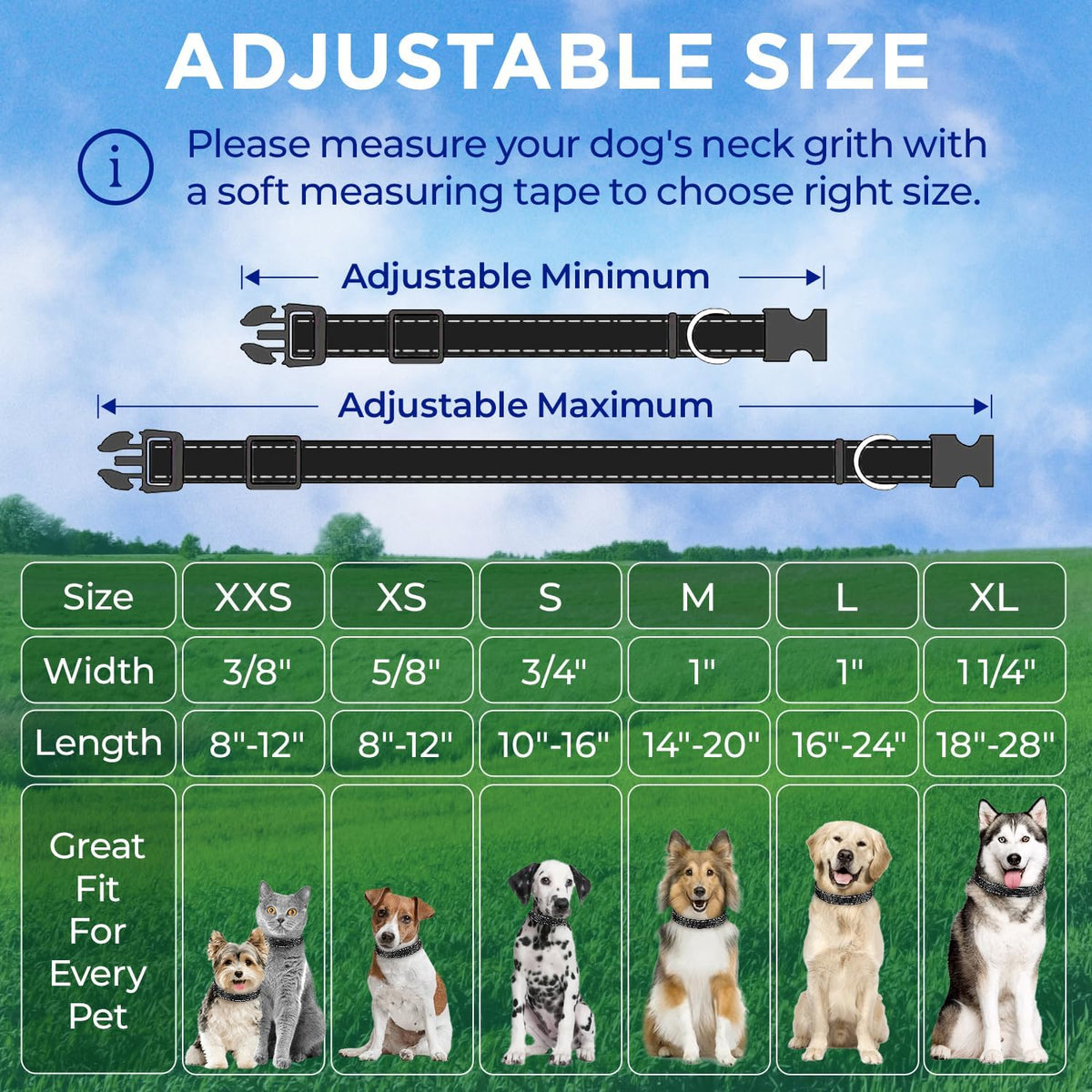 Reflective Dog Collar Black M – Soft Padding – Nylon, Quick Release