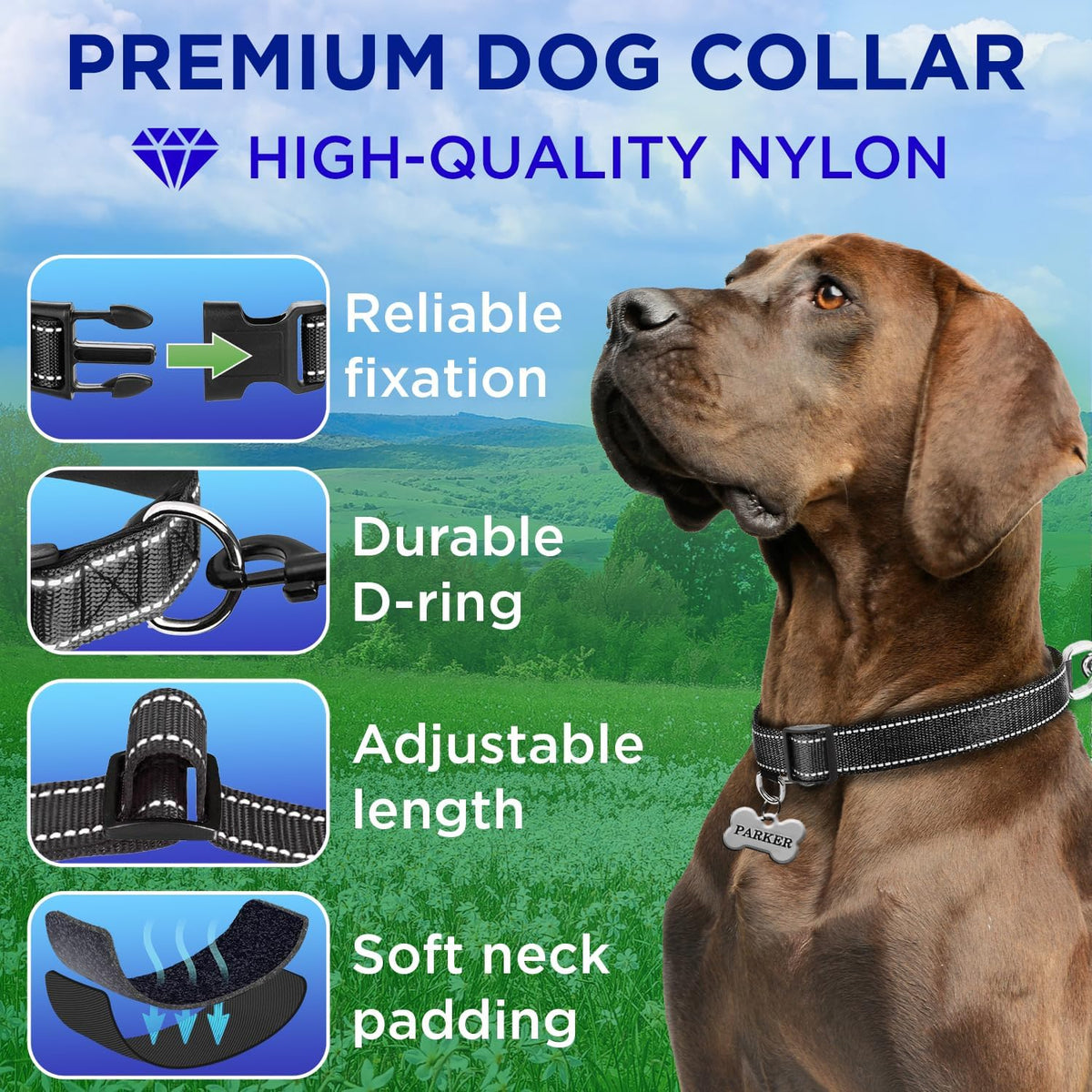 Reflective Dog Collar Black M – Soft Padding – Nylon, Quick Release