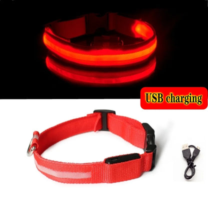 LED Dog Collar Light - Anti-Lost Night Safety Accessory for Dogs and Puppies, USB Rechargeable