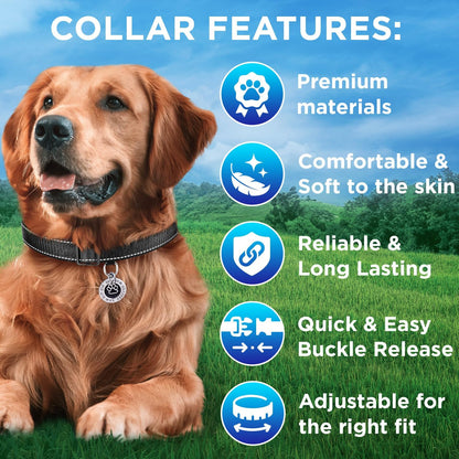 Reflective Dog Collar Black M – Soft Padding – Nylon, Quick Release