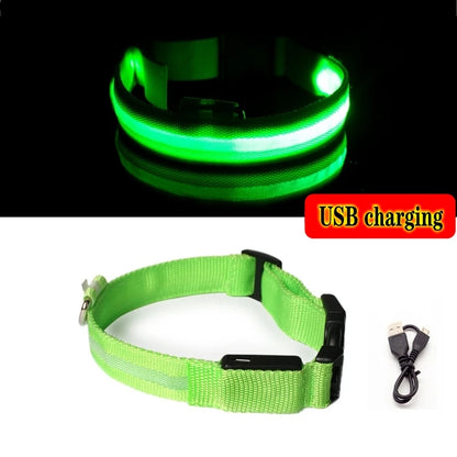 LED Dog Collar Light - Anti-Lost Night Safety Accessory for Dogs and Puppies, USB Rechargeable