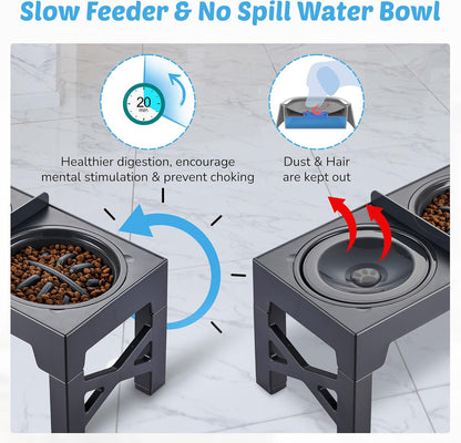 Elevated Dog Feeding Station with Non-Spill Slow Feeder Bowls and Divider