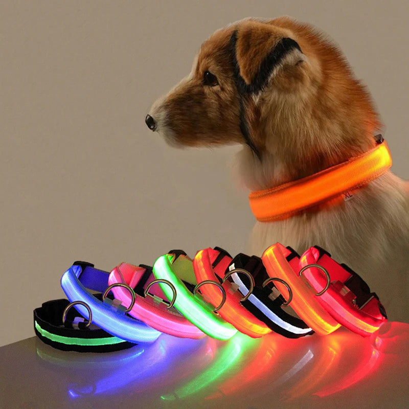 LED Dog Collar Light - Anti-Lost Night Safety Accessory for Dogs and Puppies, USB Rechargeable